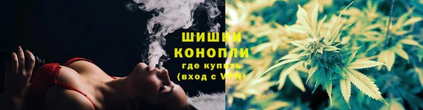 ГАЛЛЮЦИНОГЕННЫЕ ГРИБЫ Осташков