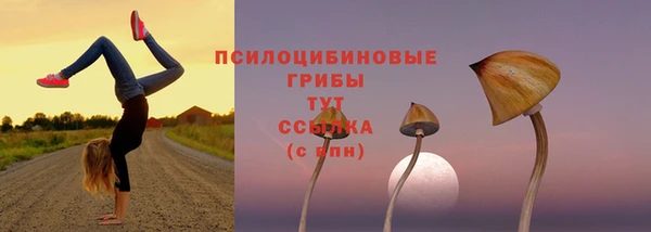 2c-b Няндома