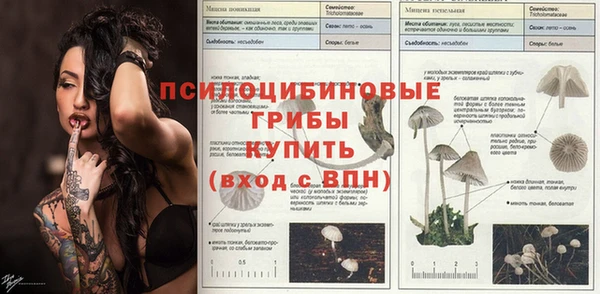 2c-b Няндома