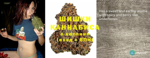ECSTASY Осинники