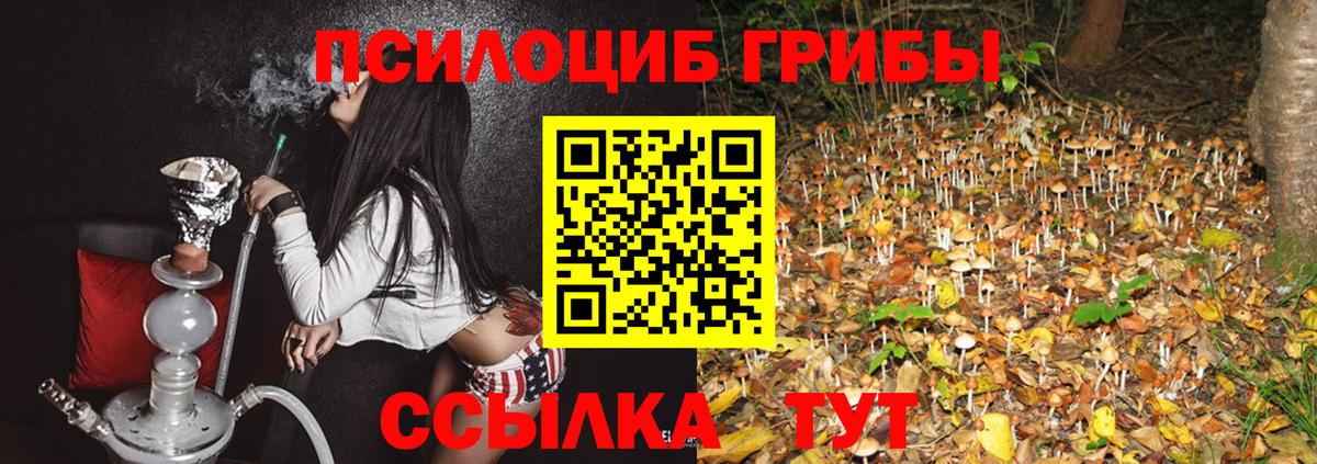 Галлюциногенные грибы Psilocybine cubensis  Вход с VPN  Псилоцибиновые грибы Psilocybe  Симферополь 